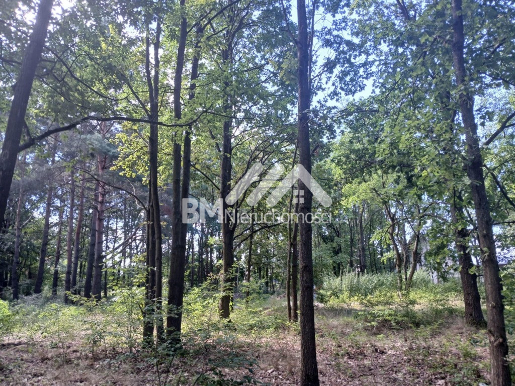 Działka Sprzedaż Żółwin 6