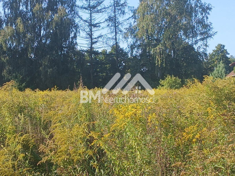 Działka Sprzedaż Opypy 1