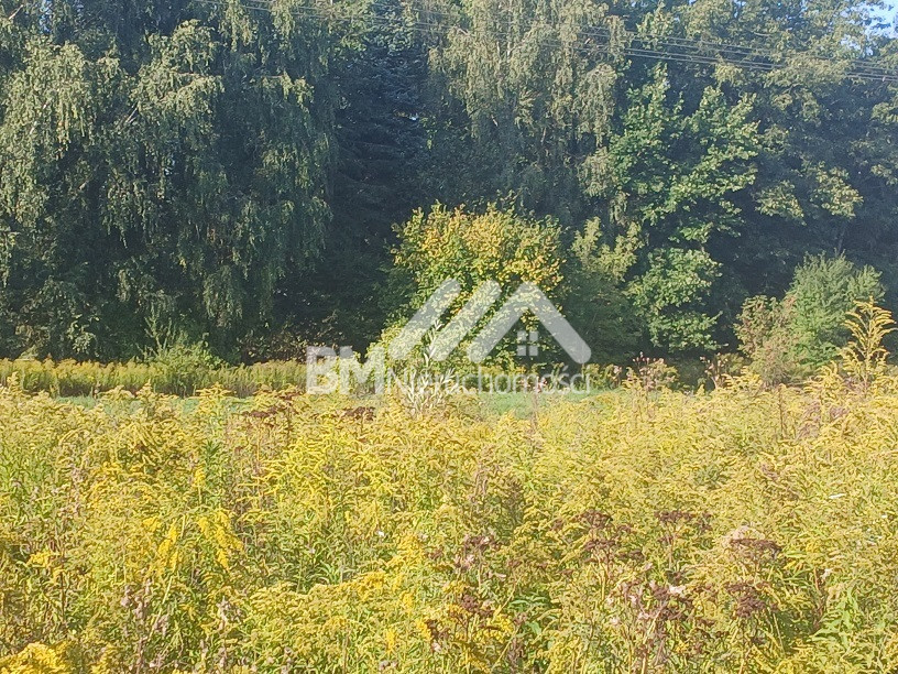 Działka Sprzedaż Opypy 2