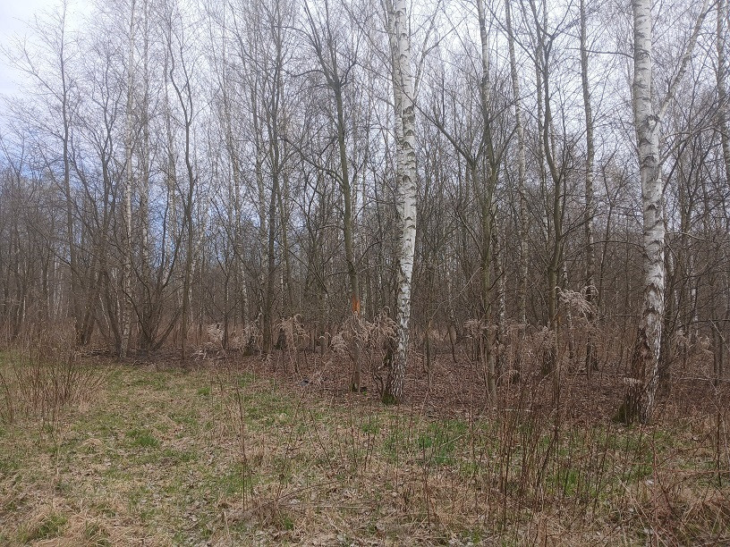 Działka Sprzedaż Kałęczyn 3