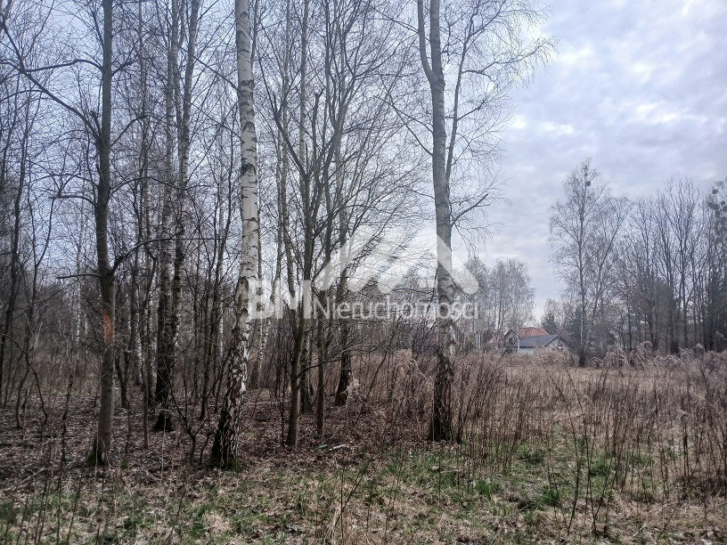 Działka Sprzedaż Kałęczyn