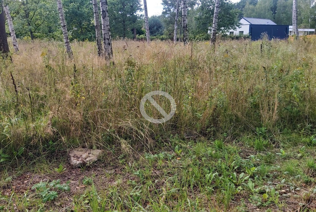 Działka Sprzedaż Rusiec 1