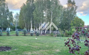 Strzeniówka