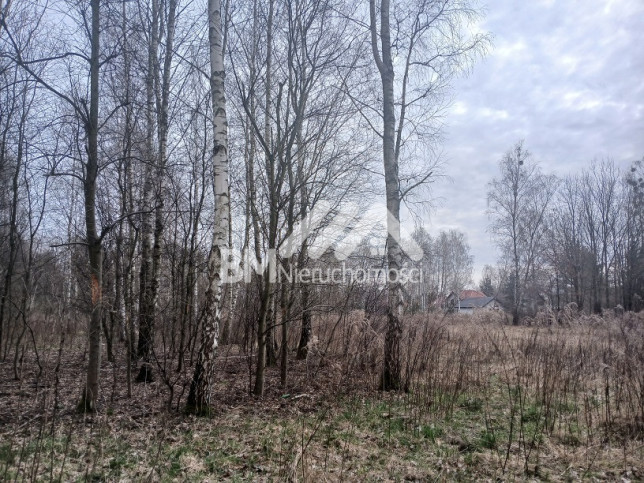 Działka Sprzedaż Kałęczyn 1