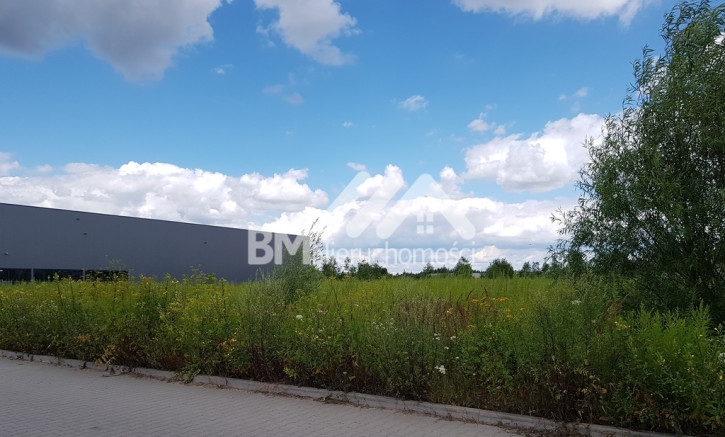 Działka Sprzedaż Kajetany 5